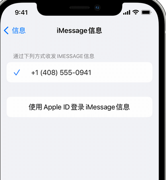 淇县apple维修iPhone上无法正常发送iMessage信息 