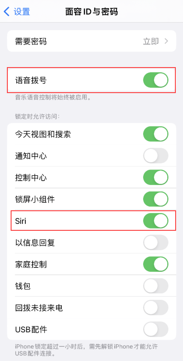 淇县苹果维修网点分享不解锁 iPhone 的情况下通过 Siri 拨打电话的方法 