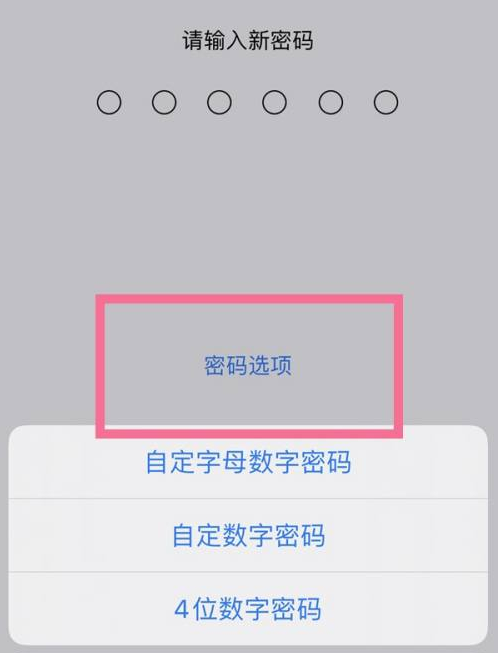 淇县苹果14维修分享iPhone 14plus设置密码的方法 