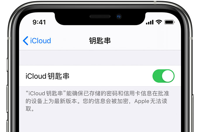 淇县苹果手机维修分享在 iPhone 上开启 iCloud 钥匙串之后会储存哪些信息 